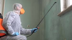 Reliable New London, WI Mold Removal & Remediation Solutions